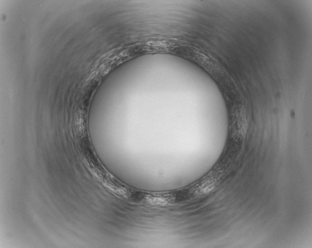 X0000054440706200508191611