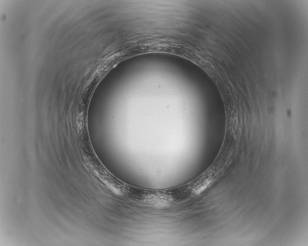 X0000054440708200508191611