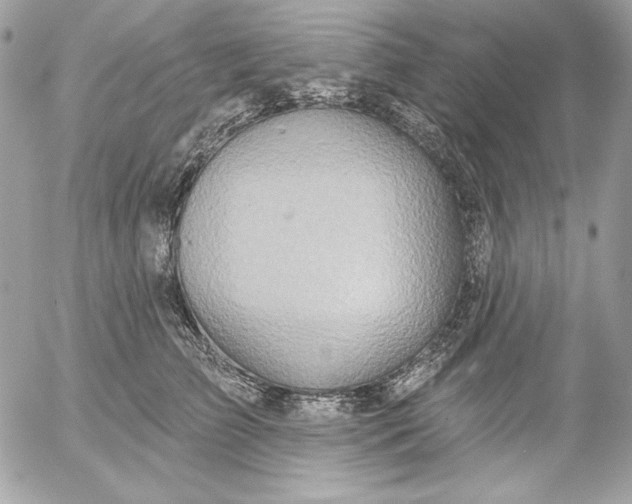 X0000054440709200508191611