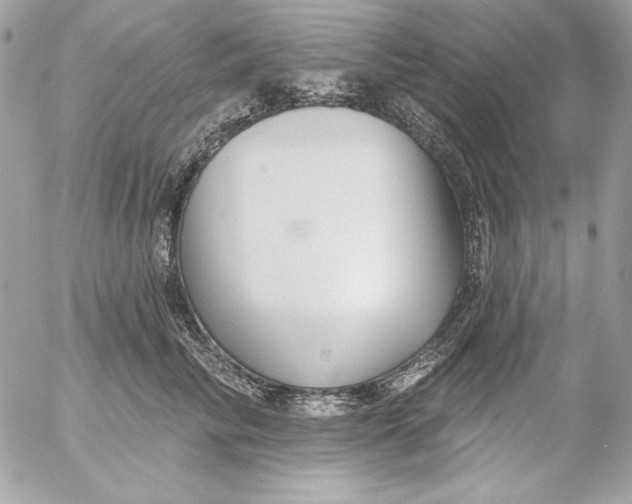 X0000054440710200508191611