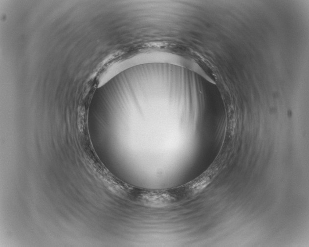 X0000054440712200508191611