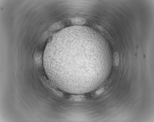 X0000054440713200508191611