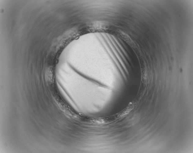 X0000054440715200508191611