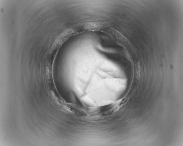 X0000054440716200508191611