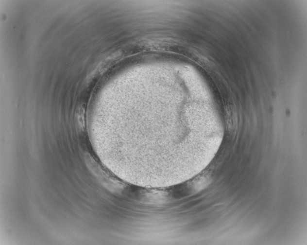 X0000054440718200508191611