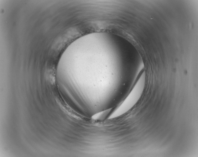 X0000054440719200508191611