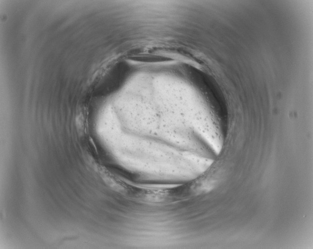 X0000054440720200508191611