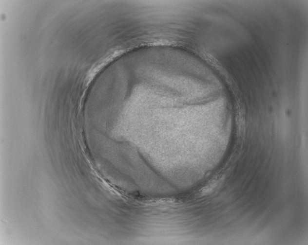 X0000054440721200508191610