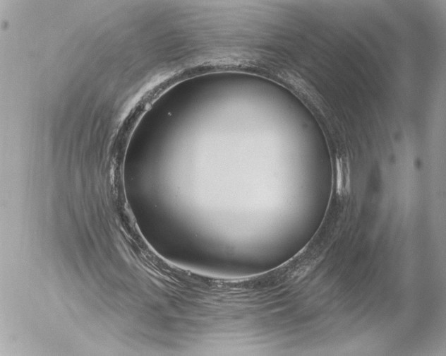 X0000054440723200508191610