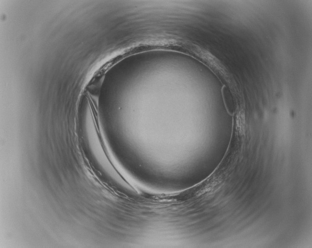 X0000054440724200508191610