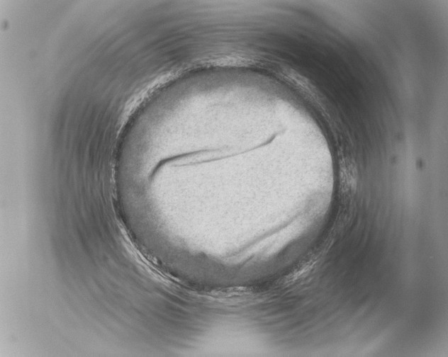 X0000054440725200508191610