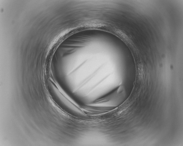 X0000054440726200508191610