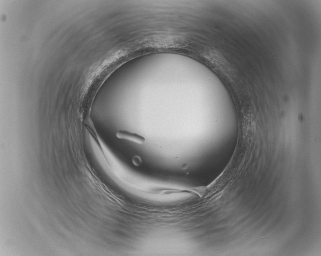 X0000054440727200508191610