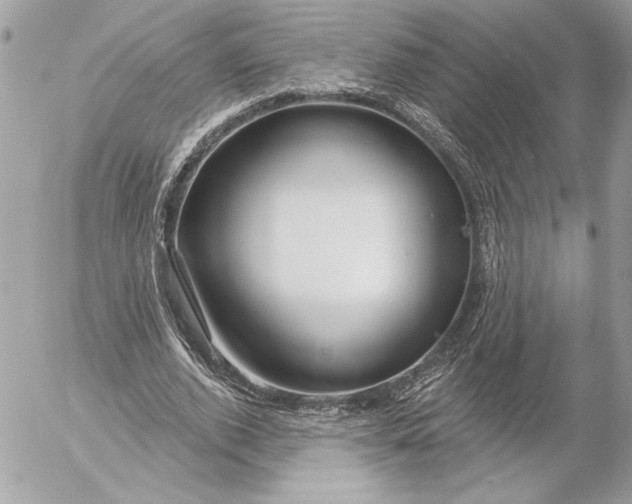 X0000054440728200508191610