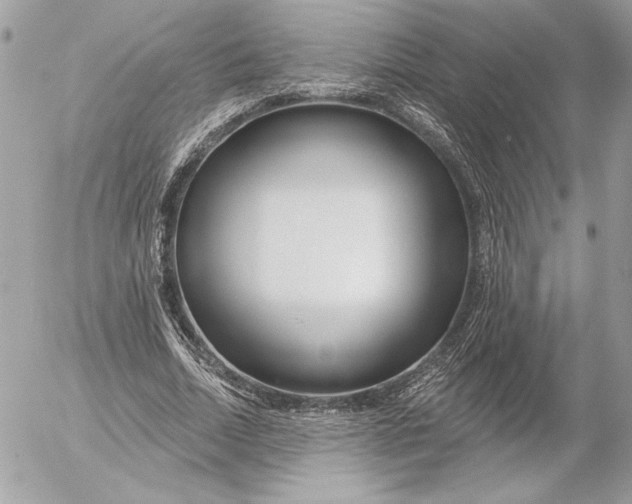 X0000054440730200508191610