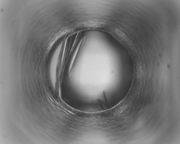 X0000054440731200508191610