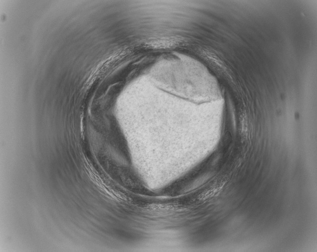 X0000054440733200508191610