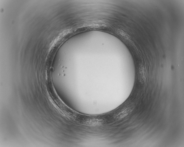 X0000054440734200508191610