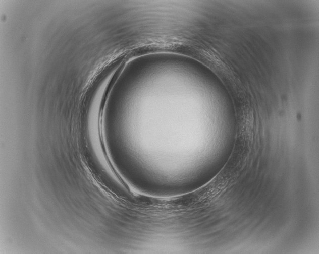 X0000054440736200508191610