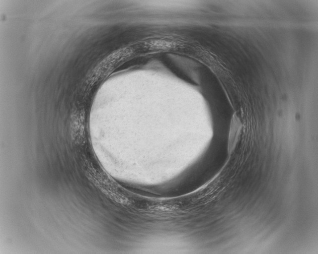 X0000054440737200508191611