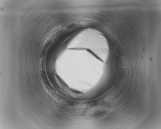 X0000054440738200508191611