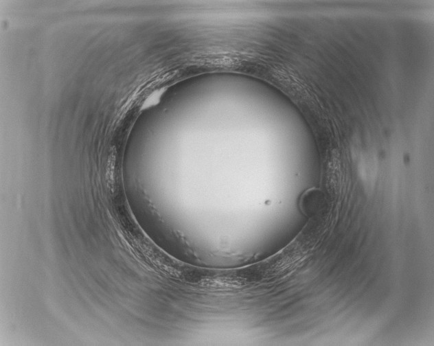 X0000054440739200508191611