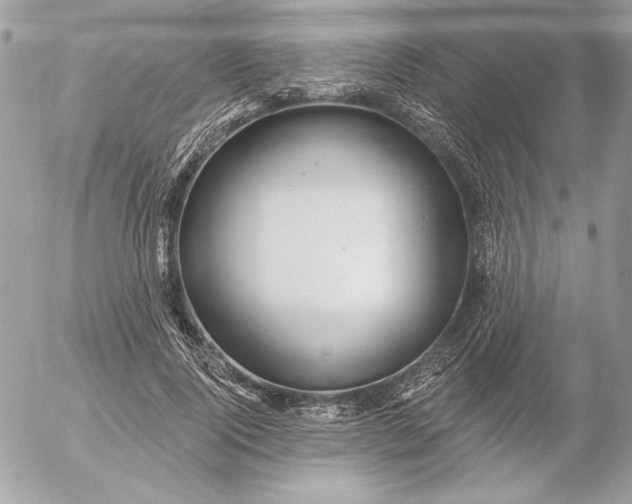 X0000054440740200508191611