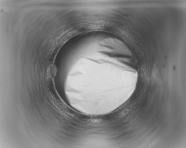 X0000054440741200508191611