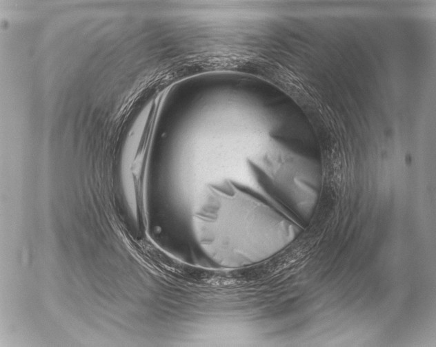 X0000054440742200508191611