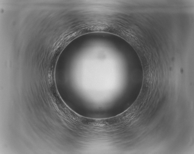 X0000054440743200508191611