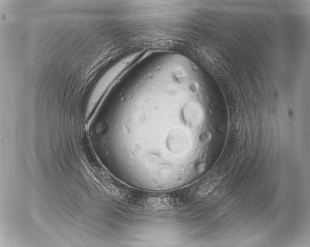 X0000054440744200508191611