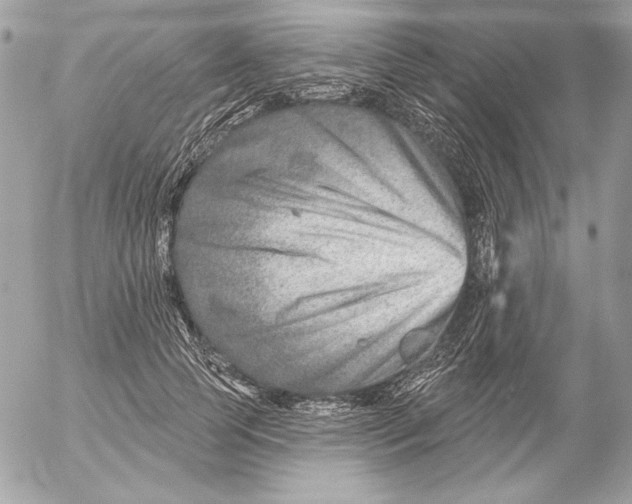 X0000054440745200508191611