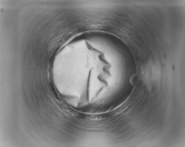 X0000054440746200508191611