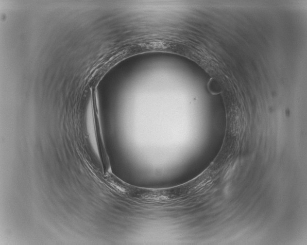 X0000054440747200508191611