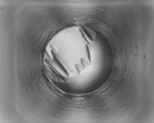 X0000054440748200508191611