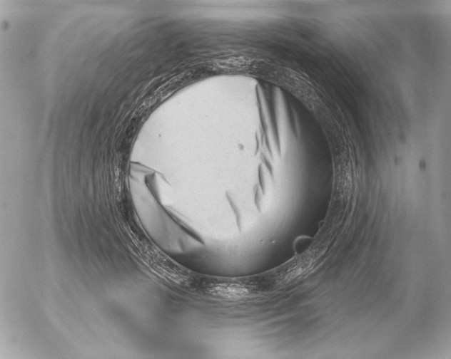 X0000054440749200508191611