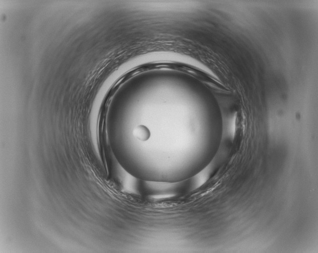 X0000054440750200508191611