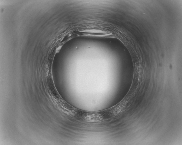 X0000054440752200508191611