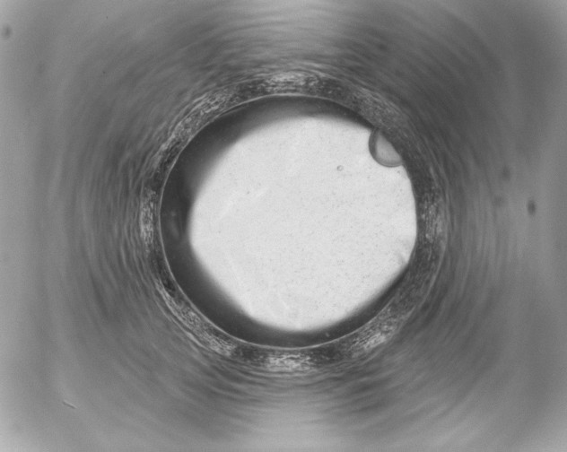 X0000054440753200508191611