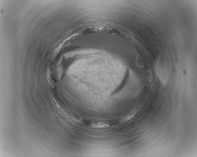 X0000054440754200508191611