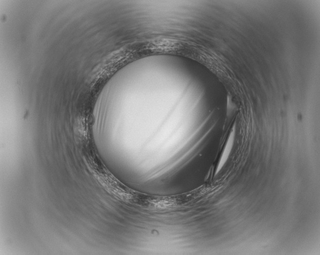 X0000054440755200508191611