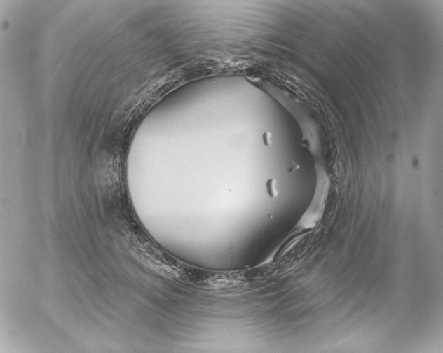 X0000054440756200508191611