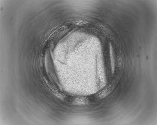 X0000054440757200508191611