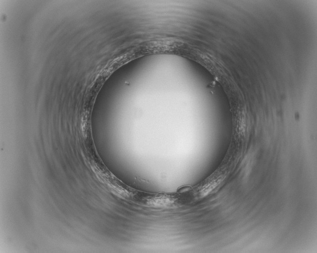 X0000054440759200508191611