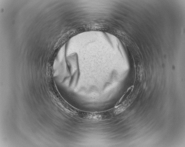 X0000054440760200508191611