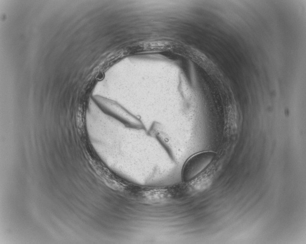 X0000054440761200508191611