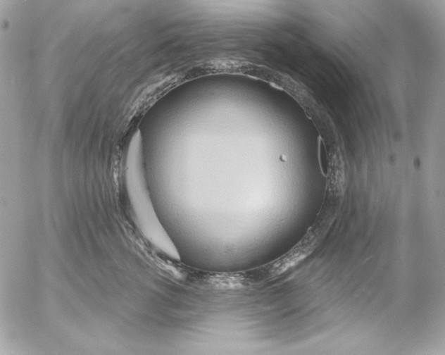 X0000054440762200508191611