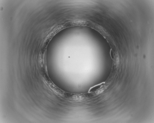 X0000054440764200508191611