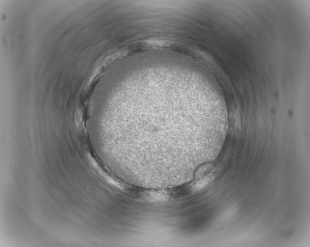 X0000054440765200508191611