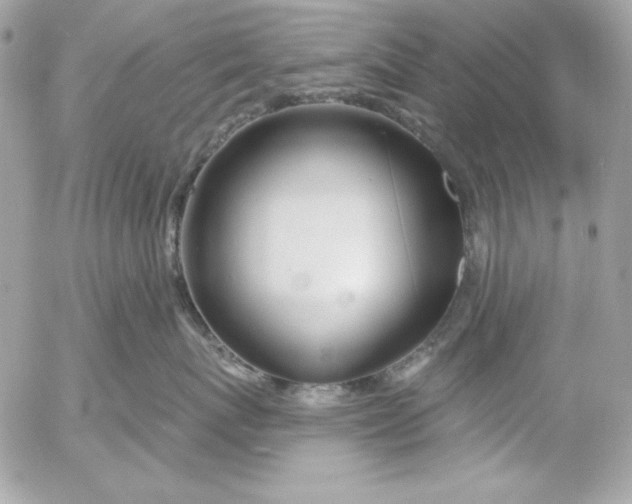 X0000054440767200508191611